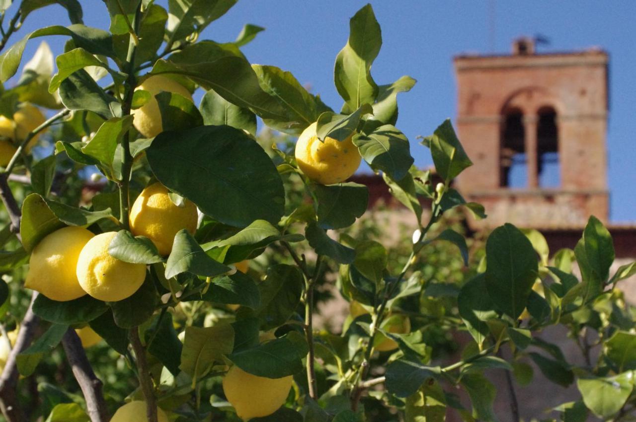 Fattoria Monastero Sant'Anna In Camprena Villa Pienza Exteriör bild